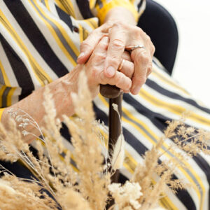 Servicio de atención a residencias geriátricas-image